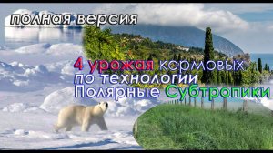 4 урожая кормовых по технологии Полярные Субтропики