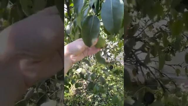 Как наши партнеры покупают дома на свои деньги! Смотрите!