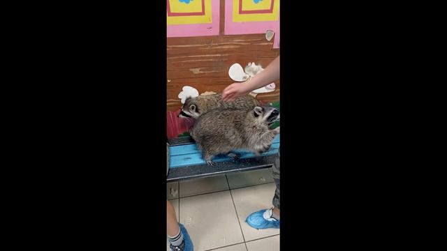 Почему Тюмень? смотреть онлайн