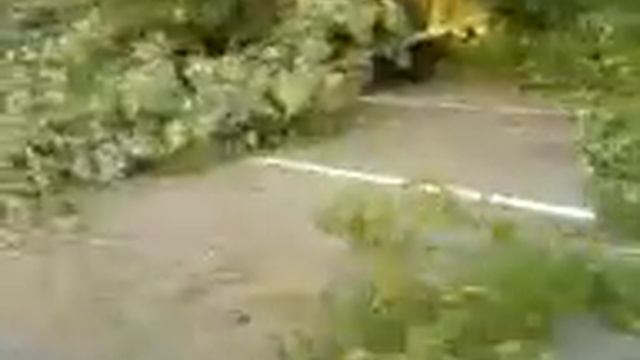 MOV00007 смотреть онлайн