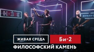 БИ-2 - Философский камень | В твой ОГОРОД