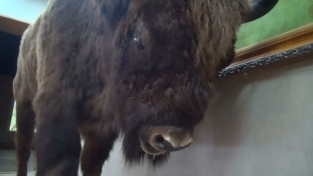 Тебердинский заповедник.  Музей природы.  Водопад "Мужские слёзы"