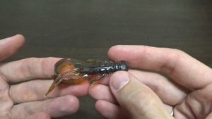 Видеообзор рака Crazy Fish Nimble по заказу Fmagazin