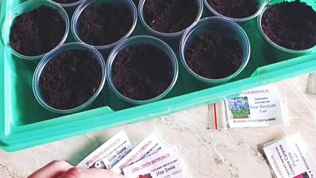 Самые важные секреты и секретики выращивания петуний? смотреть онлайн