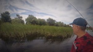 Рыбалка Астрахань Волга. Ловим на поплавок карася, красноперку.