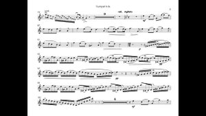 V.Brandt - The concert piece No.1 f-moll - T.Dokshizer - trumpet