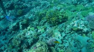 Paradise island Hurghada Egypt 2018 / Остров Парадайс Хургада Египет 2018