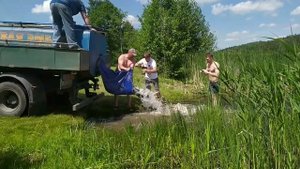 ЗАПУСТИЛИ 1000 ЭЛИТНЫХ КАРПОВ в водоем | Проект: "Аренда водоема возле деревни Ковалевичи | часть 7