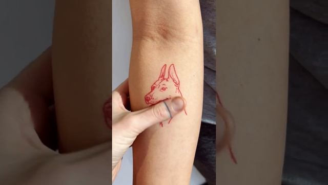 Healed red Doberman by @ananas.tattoo