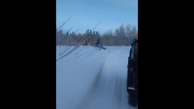 едим на рыбалку на мото собаке смотреть онлайн