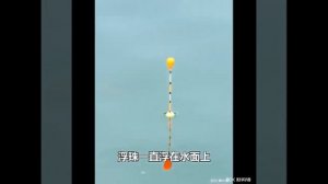 Херабуна - поплавок со скользящими бобышками