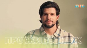 Как распознать пищевую аллергию у кошек?