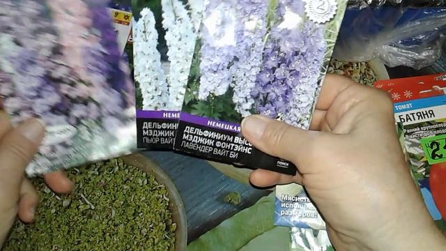 ВРЕМЯ ПРИШЛО! ЧТО БУДЕМ СЕЯТЬ В ФЕВРАЛЕ! ВСЕ ПОКАЖУ! смотреть онлайн