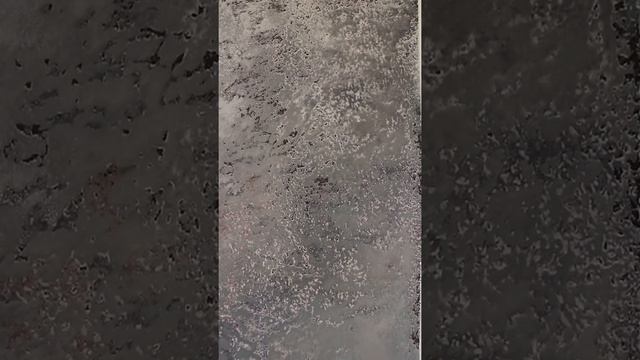 Декоративная краска с эффектом замши Novacolor "Celestia"
