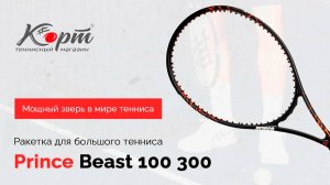 Обзор Prince Beast 100 300, ракетка для большого тенниса