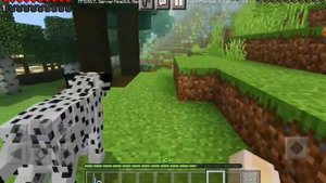 Equestrian Minecraft | День на конюшне | askasplay
