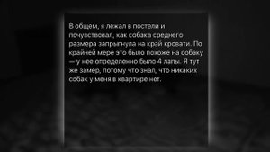 Неизвестное существо пришло ночью | Страшная история на ночь