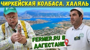 Чиркейские колбасы. Халяльная продукция из говядины, баранины, конины, верблюда,  птицы|Вкус детства