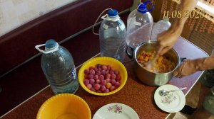 Вино из сливы в домашних условиях. Вкусное сливовое вино из жёлтой сливы. Рецепт домашнего вина.
