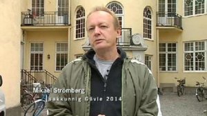 говорят шведы из Gavle ( шведский язык )