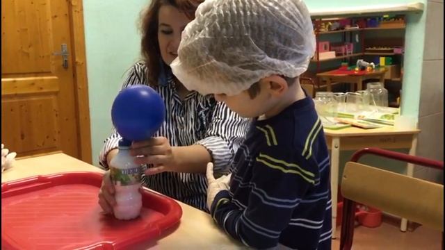 Образовательный модуль "Экспериментирование с живой и не живой природой"