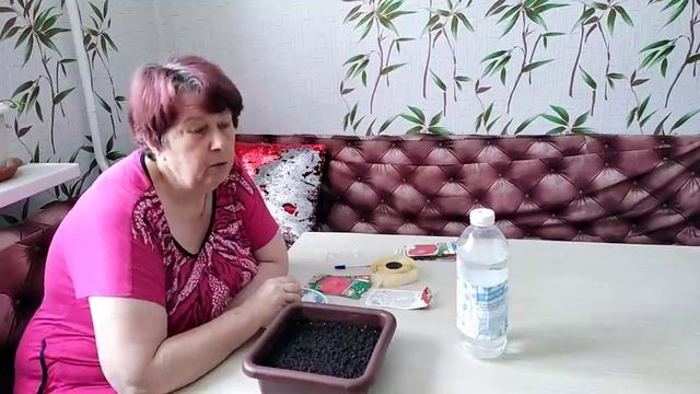 Чем покрыть теплицу?Поликарбонат или пленка?Сажаем помидоры. смотреть онлайн