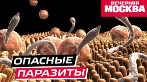 Чем опасны паразиты в организме человека и что указывает на их наличие?