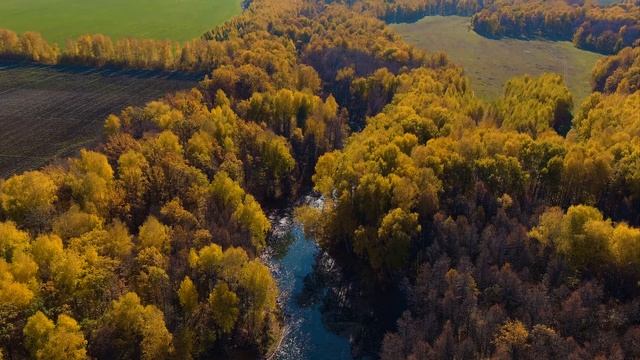 AUTEL EVO 2 PRO ТАТАРСТАН СЕЛО "ТИМОШКИНО" смотреть онлайн