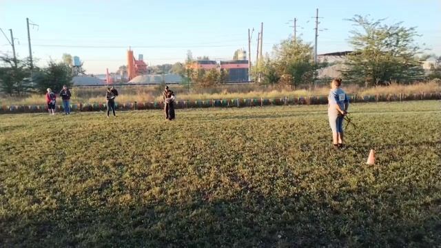 3 V   Бальдрсенс ИЗМИР (Harley Gelezinis Vilkas – Зильбер Вассерфаль Экзотика) 28 +++