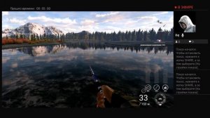 уникальная горбуша Каник-Крик