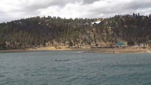 Пять фруктов, которые могут есть диабетики