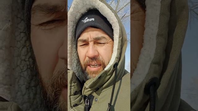 #үйкутболсун#Алтай#арзанүй#үйсатылат#79832794488#ватсап#кулпунай. смотреть онлайн