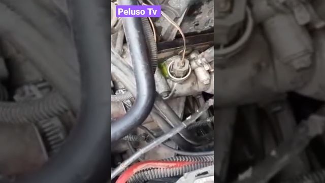 Vídeo Corto de como probar rápido el actuar del motoventilador motor Zetec 1.6 desconectando el ECT