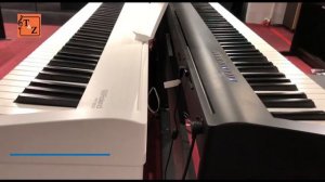 CASIO CDP S-110 Demo Test