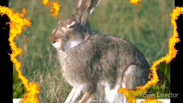 Кем ты был в прошлой жизни? смотреть онлайн