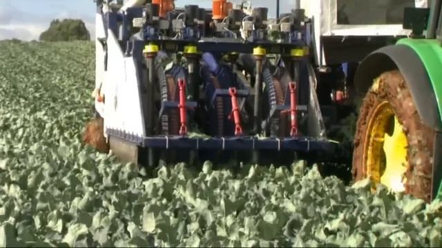 Dobmac Broccoli Harvester 0410 смотреть онлайн