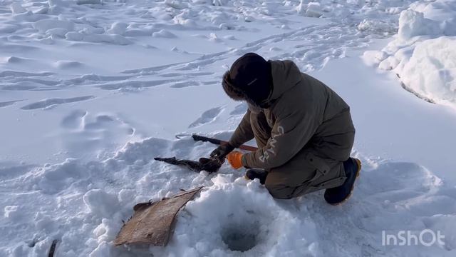 НАЛИМЫ В СОРОКЕТ!! ИЗОБИЛИЕ РЫБЫ В МОРОЗ.НЕОЖИДАННЫЙ СЮРПРИЗ НА ЛЬДУ смотреть онлайн