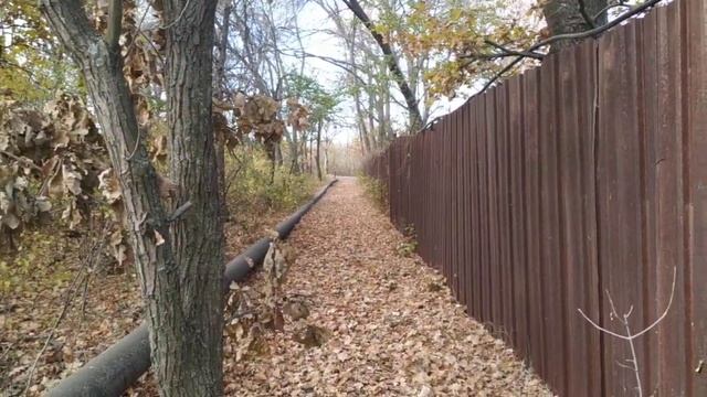 полив часть 1 смотреть онлайн