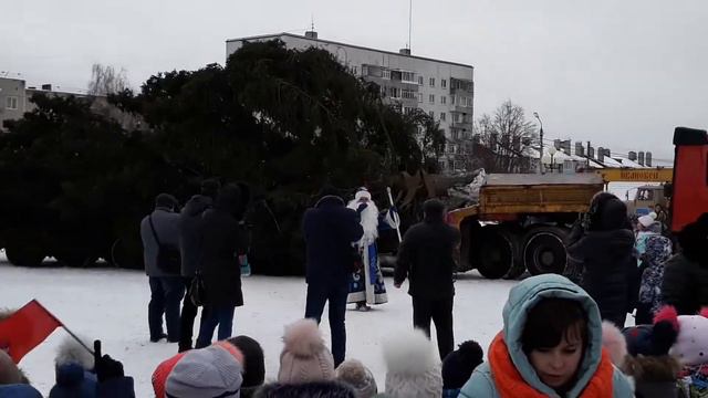 Торжественная встреча ёлки в Кольчугино