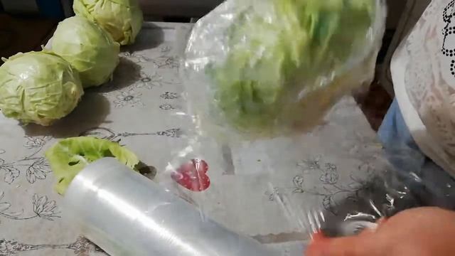 Как хранить капусту в погребе