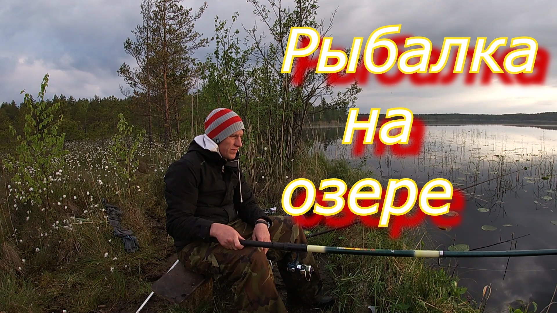 Ловля рыбы на лесном озере смотреть онлайн