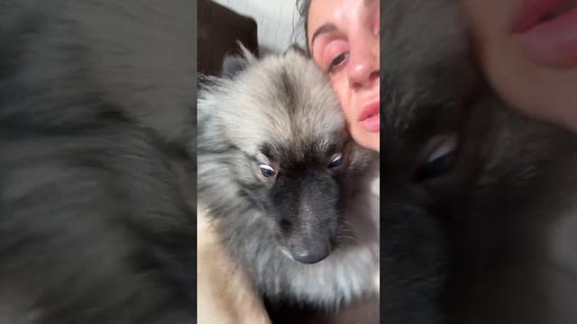 Гром мешает мне стать известным блогером, а часики тикают #Кеесхонд смотреть онлайн