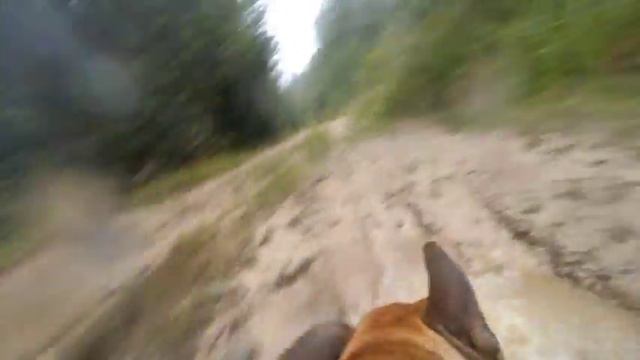 камера на варьке смотреть онлайн