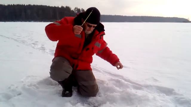 Рыбалка в Нижней Туре. Мелкий окунь. смотреть онлайн
