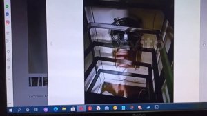 Инкубация день 1 и покупка б/у инкубатора на Авито