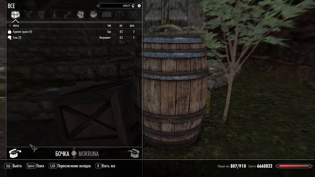 Our Skyrim: Voyage to the Dreamborne Isles | Проходим со своим переводом на русский язык #2 смотреть онлайн