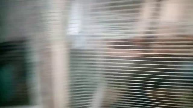 Подарок от Ливенских!!!! Первое яйцо у молодки Ливенской породы кур!!! смотреть онлайн