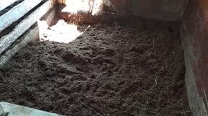 ГЛУБОКАЯ ПОДСТИЛКА В МОЕМ САРАЕ / Городские колхозники