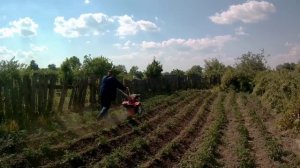 мотоблок Брайт + дисковый окучник