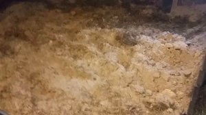 Про подстилку и яйценоскость кур зимой